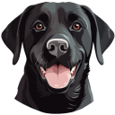 Labrador-Black icon