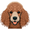 Poodle Toy icon