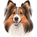 Shetland-Sheepdog icon