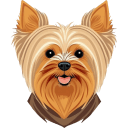 Yorkshire-Terrier icon