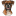 Boxer Dog icon