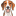 English Foxhound icon