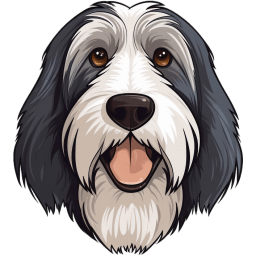 Bearded Collie icon