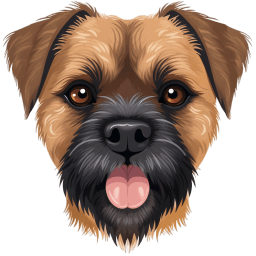 Border Terrier icon
