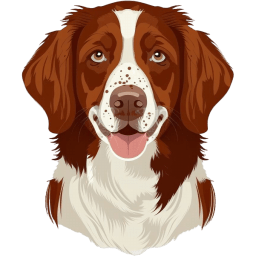 Brittany Dog icon