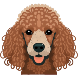 Poodle Toy icon