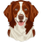 Brittany-Dog icon