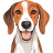English-Foxhound icon