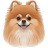 Pomeranian-Dog icon