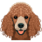 Poodle-Toy icon