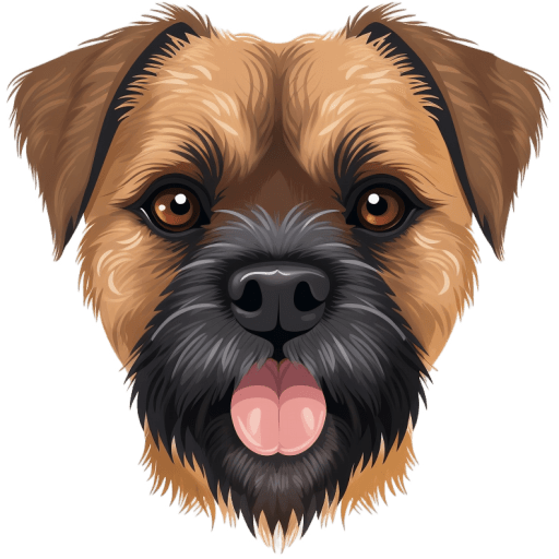 Border-Terrier icon
