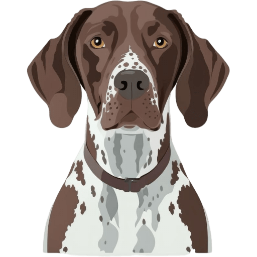 German-Shorthaired-Pointer icon