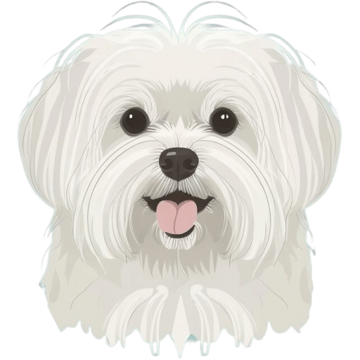 Maltese-Dog icon