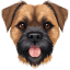 Border Terrier icon