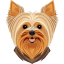 Yorkshire Terrier icon