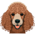 Poodle-Toy icon
