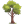 Nature Tree City icon