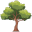 Nature Tree icon