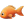 Orange 2 Tropical Fish icon