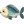 Small 4 Happy Fish icon