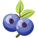 Blueberry-Flat icon