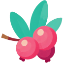 Cranberry-Flat icon