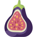 Fig Flat icon