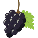 Grape Black Flat icon