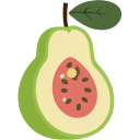 Guava-Open-Flat icon