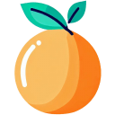Orange-Flat icon