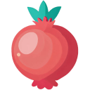 Pomegranate Flat icon