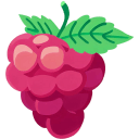 Raspberry Flat icon