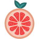 Red-Grapefruit-Flat icon
