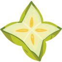 Starfruit Open Flat icon