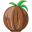 Coconut Flat icon