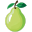 Guava Flat icon