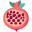 Pomegranate Open Flat icon