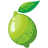 Lime-Flat icon