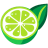 Lime-Open-Flat icon