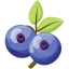 Blueberry Flat icon