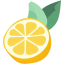 Lemon Open Flat icon
