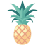 Pineapple Flat icon