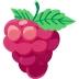 Raspberry-Flat icon
