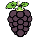 Blackberry Flat icon