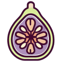 Fig Open Flat icon