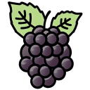Grape Black Flat icon