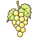 Grape Flat icon