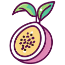 Passionfruit Flat icon