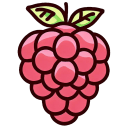 Raspberry Flat icon