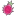 Dragonfruit Pitaya Flat icon